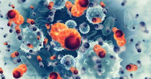 Cancer cells in the human body